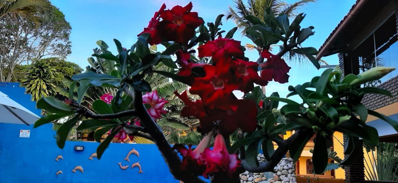 Готель Pousada A Flor Da Terra Порту-Сегуру Екстер'єр фото